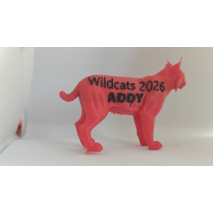 Wildcat
