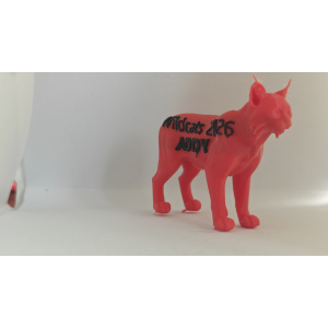 Wildcat
